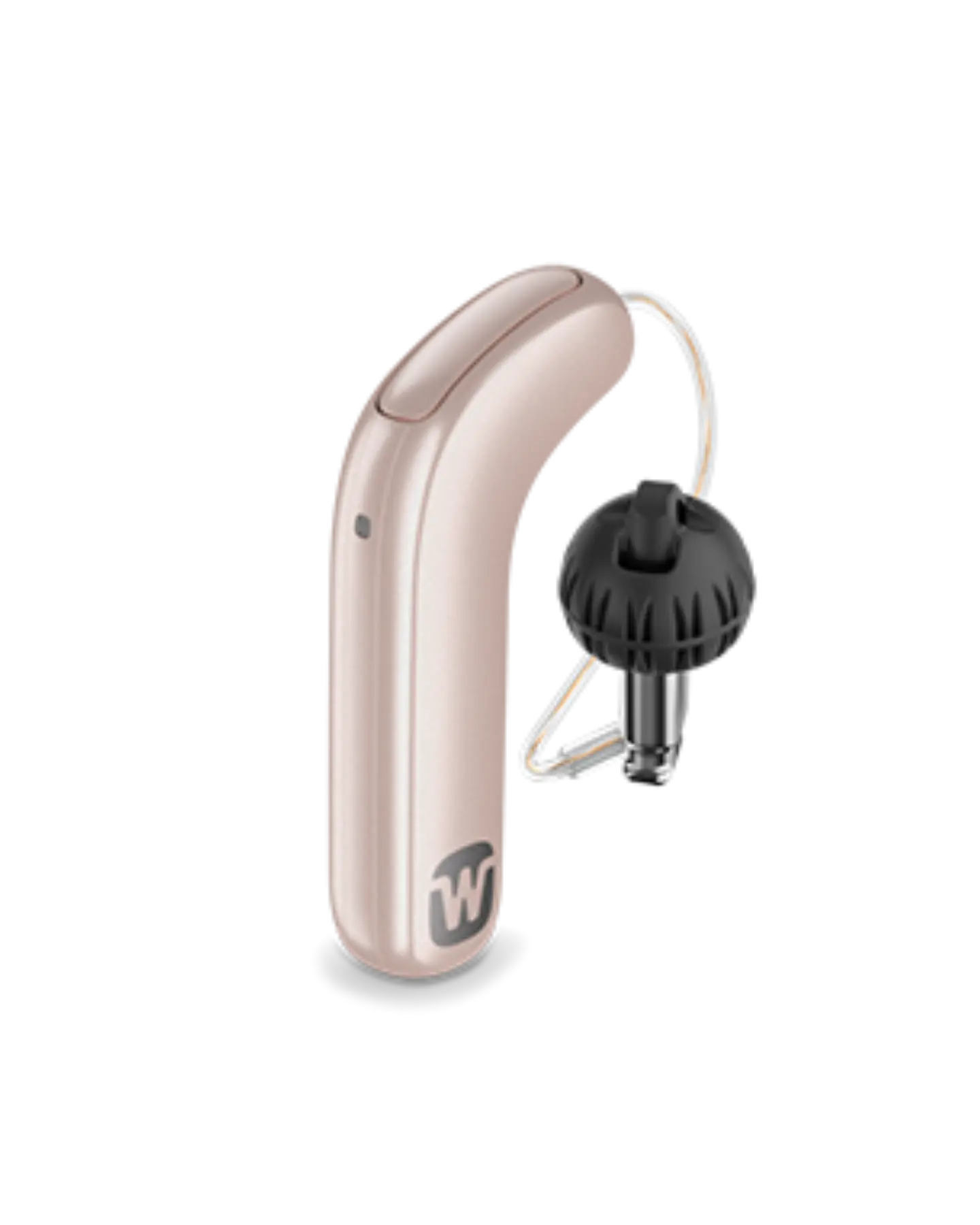 Hearing aid product showcase